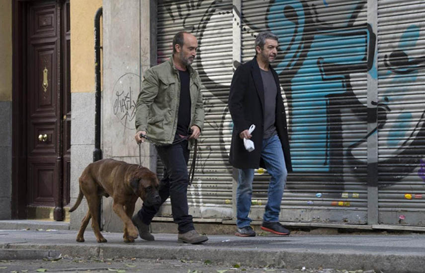 Truman, protagonizada por Javier Cámara y Ricardo Darín, relata el último encuentro de dos grandes amigos y su mascota.